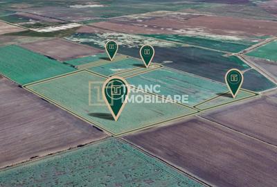 Teren agricol extravilan de 117500 mp, în Turnu - 4