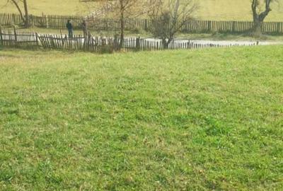 Spațiu comercial, în Trăisteni - 4