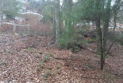 Spațiu comercial, în Central - 1