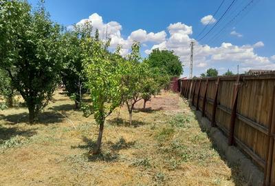 Movilita - vanzare casa 5 cam plus livada pe rod si teren 1800 mp - 18