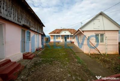 Casă cu 5 camere cu Teren 3365 Mp în Conțești - 5