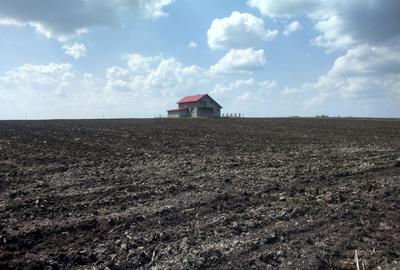 Păcurari-Platou Beldiman ( LA STEJARI SECULARI ) 490 mp , oportunitate reala - 10