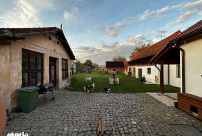 Casă cu 4 camere cu Teren 7200 Mp în Ilia - 13