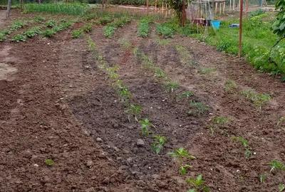 Casa / Vila cu 2 camere de vanzare - 8