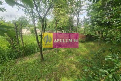 Casă de vânzare în Bănești - 21