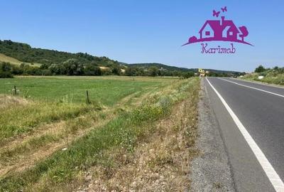 Teren intravilan Hidiselul de Sus - 1