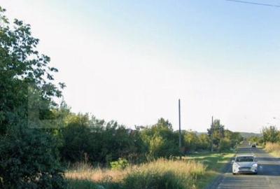 Teren 3994 mp, zona metropolitana Simnicul de Sus - 1