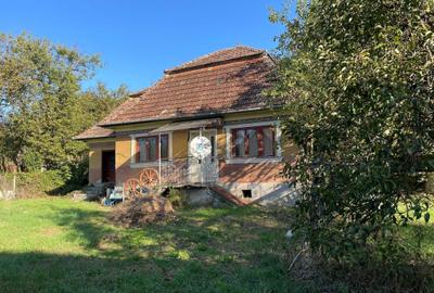 Casă cu 2 camere în Măhăceni - 6