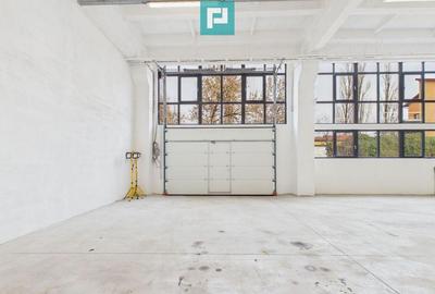 Hala industriala de 295 mp in Arad - 3