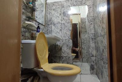 Garsonieră nedecomandată în Baicului - 9