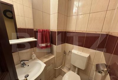 Apartament cu 3 camere decomandat, mobilat în Sărari - 13