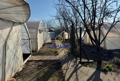 Teren intravilan vanzare - 2.750 mp – Darvari/Tamadalu Mare (judetul Calarasi) - 8