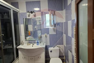 Casa / Vila cu 6 camere de vanzare in zona Calea Severinului - 10