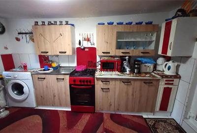 Casă cu 2 camere cu Teren 307 Mp în Criș - 11