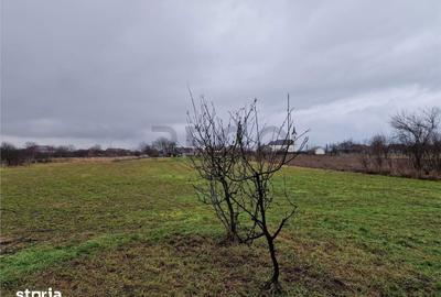Casă cu 4 camere cu Teren 4600 Mp în Gepiu - 1
