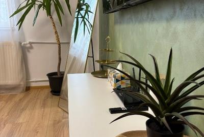 Apartament cu 2 camere semidecomandat, mobilat în Brâncoveanu - 9