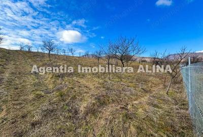 15 parcele de Teren intravilan in Deva, zona Calugareni, Strada Prunilor, Jud. Hd, cu PUZ, PUD, etc. - 17