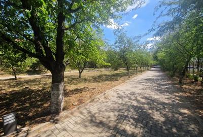 Apartament 3 camere inchiriere Drumul Valea Doftanei Sector 6 - 8