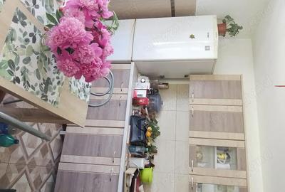 Casă cu 3 camere cu Teren 4434 Mp în Geaca - 8