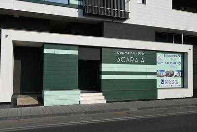 Intrare Statiunea Mamaia - 2