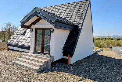 Casă cu Teren 1911 Mp în Vârfu Câmpului - 6