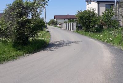 Teren Construcții intravilan de 629 mp, în Olteni - 3
