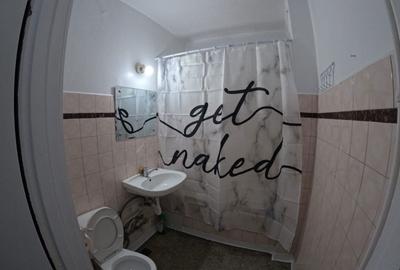 Apartament cu 2 camere semidecomandat în Liviu Rebreanu - 2