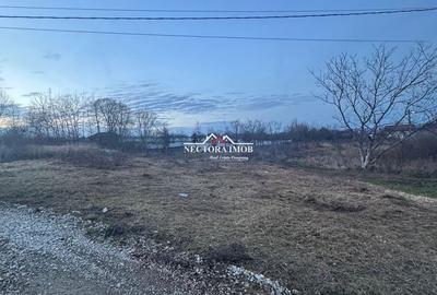 Spațiu comercial, în Paleu - 4