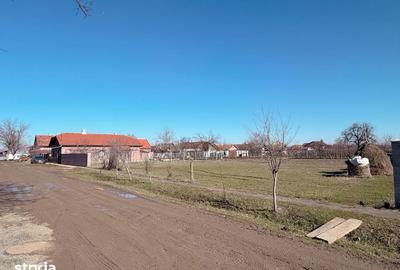 Teren de 759 mp, în Șofronea - 5