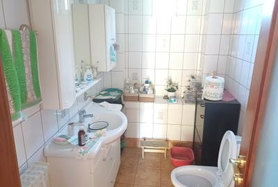 Vanzare  casa D+P+1+M - 4