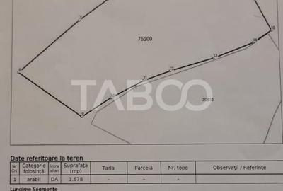 Teren intravilan de vanzare in Sasciori jud Alba - 4