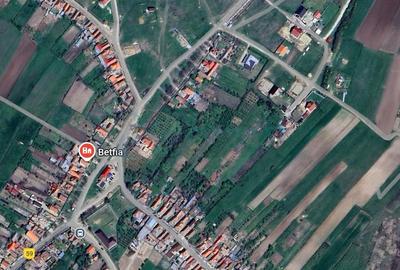 Teren Construcții intravilan de 3250 mp, în Betfia - 2
