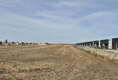 Teren de 16248 mp, în Domnești - 5