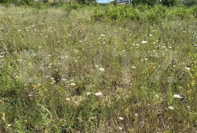 Teren de 1000 mp, în Central - 3