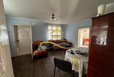 Casa batraneasca cu 2ha de teren de vanzare in sat Balaia / Bacau - 11