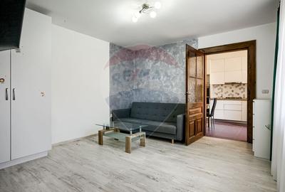 Apartament 2 camere , renovat, mobilat- utilat,  zona centrala - 6