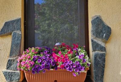 Vand casa 3 camere ARIUSD - 16