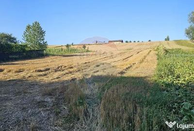 Teren de 7500 mp, în Moara - 14