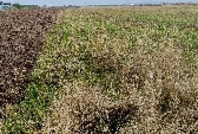 Teren 7700mp Lazuri, Dambovi?a - 4