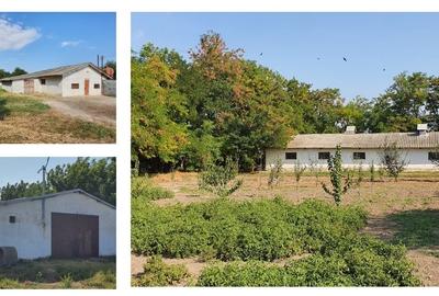 Teren Construcții intravilan de 24000 mp, în Tichilești - 3