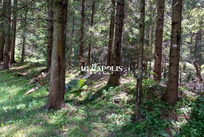 Pretabil Hotel,Pensiune,Case de Vacanta/Utilitati/PUZ - 17