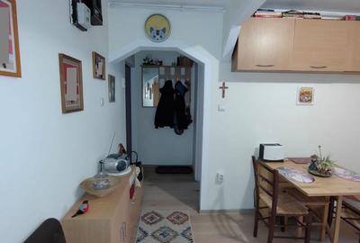 Apartament cochet de 3 camere, etaj 2/4, Grigorescu, Alexandru Vlahuta Apartament cochet de 3 camere, etaj 2/4, Grigorescu, Alexandru Vlahuta - 20