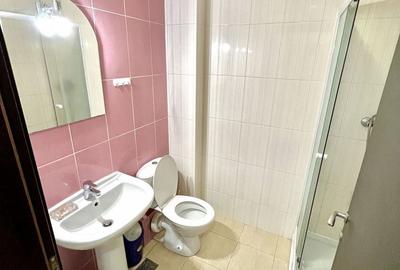 Garsonieră decomandată, mobilată în Theodor Pallady - 5