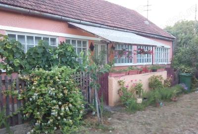 Casă cu 3 camere în Chegea - 6