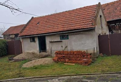 Casă cu 3 camere cu Teren 2700 Mp în Central