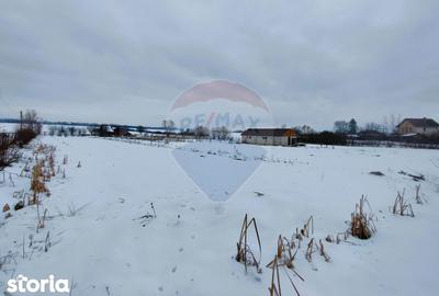 Teren de 9574 mp, în Iacobeni - 6