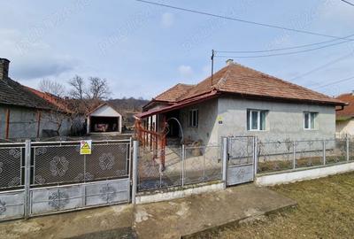Casă cu 4 camere în Gârceiu - 4
