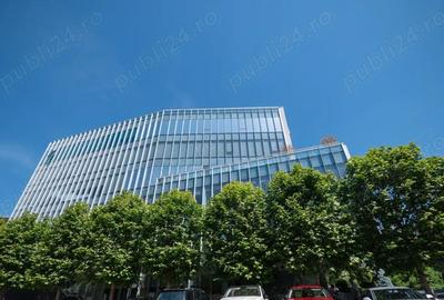 Spațiu comercial, de 363 mp, în Pipera