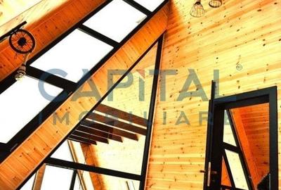 Oportunitate! Casa de vacanta A-frame, judetul Arges - 11