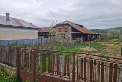 Casă cu 2 camere în Central - 3